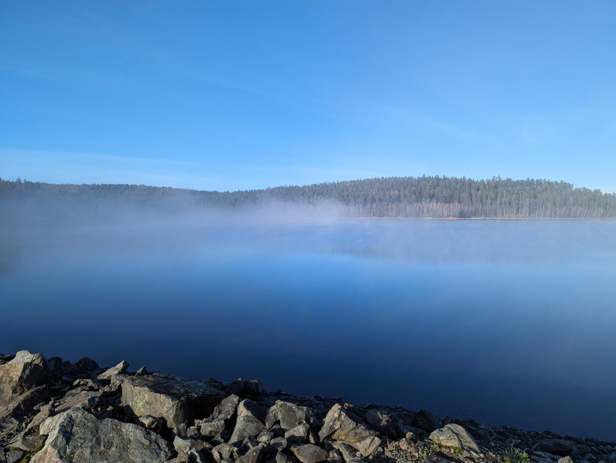 Отель Le Cedre Bleu Saint-Michel-sur-Meurthe Экстерьер фото